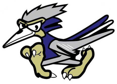 The Riverside Meadows Roadrunner logo
